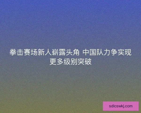 拳击赛场新人崭露头角 中国队力争实现更多级别突破